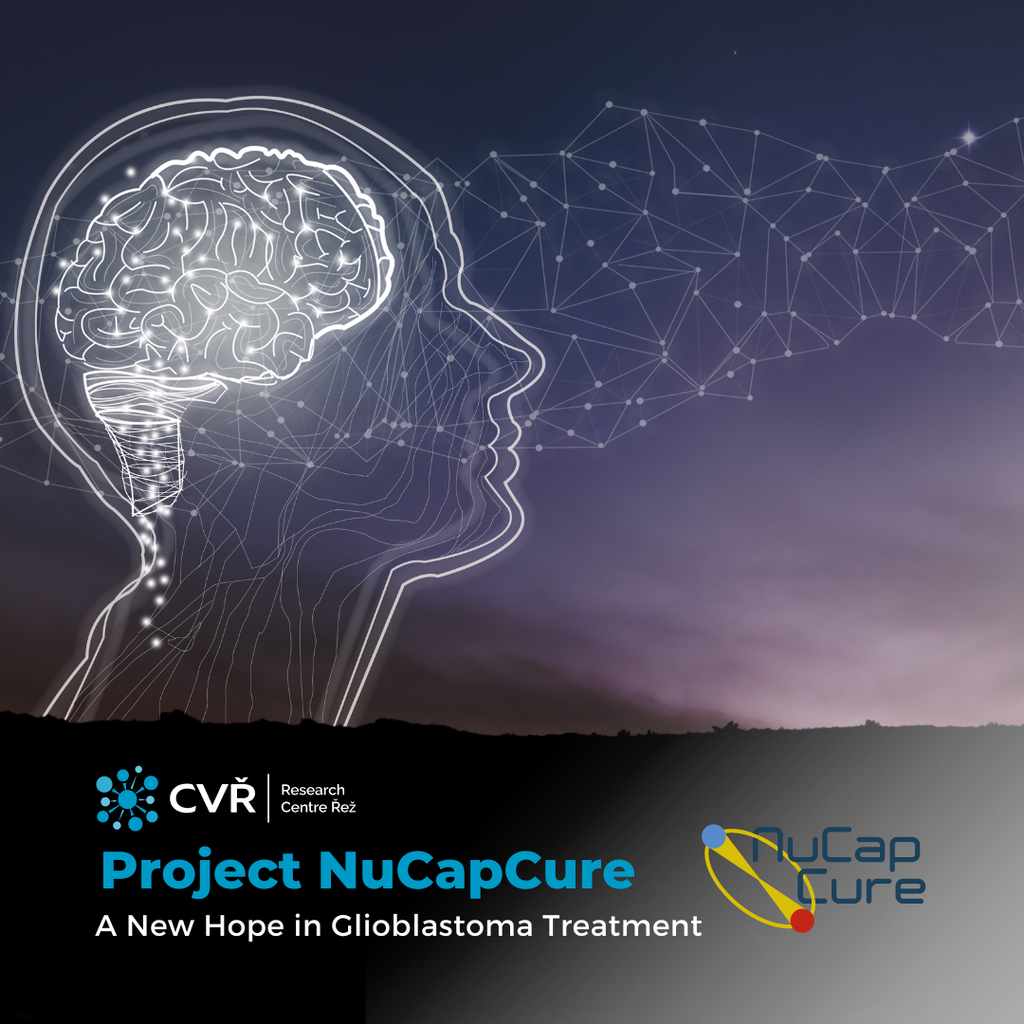 A New Hope For Glioblastoma Treatment – WHBNXF